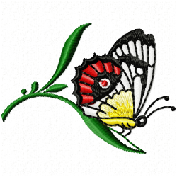 Butterfly Embroidery Design 6